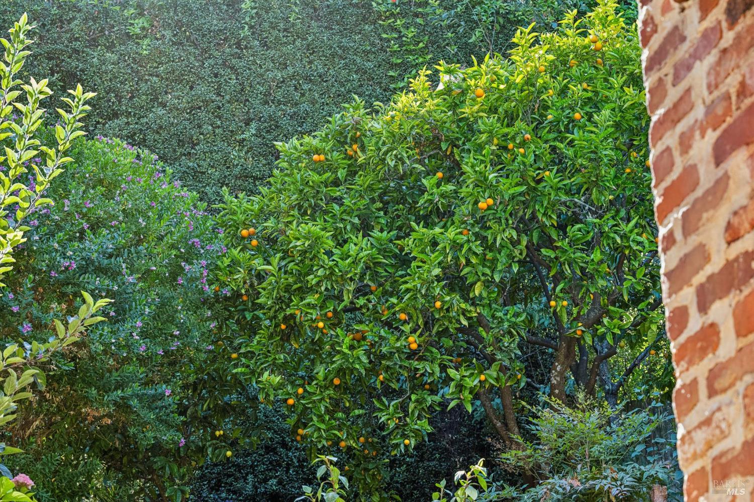 Property photo 40