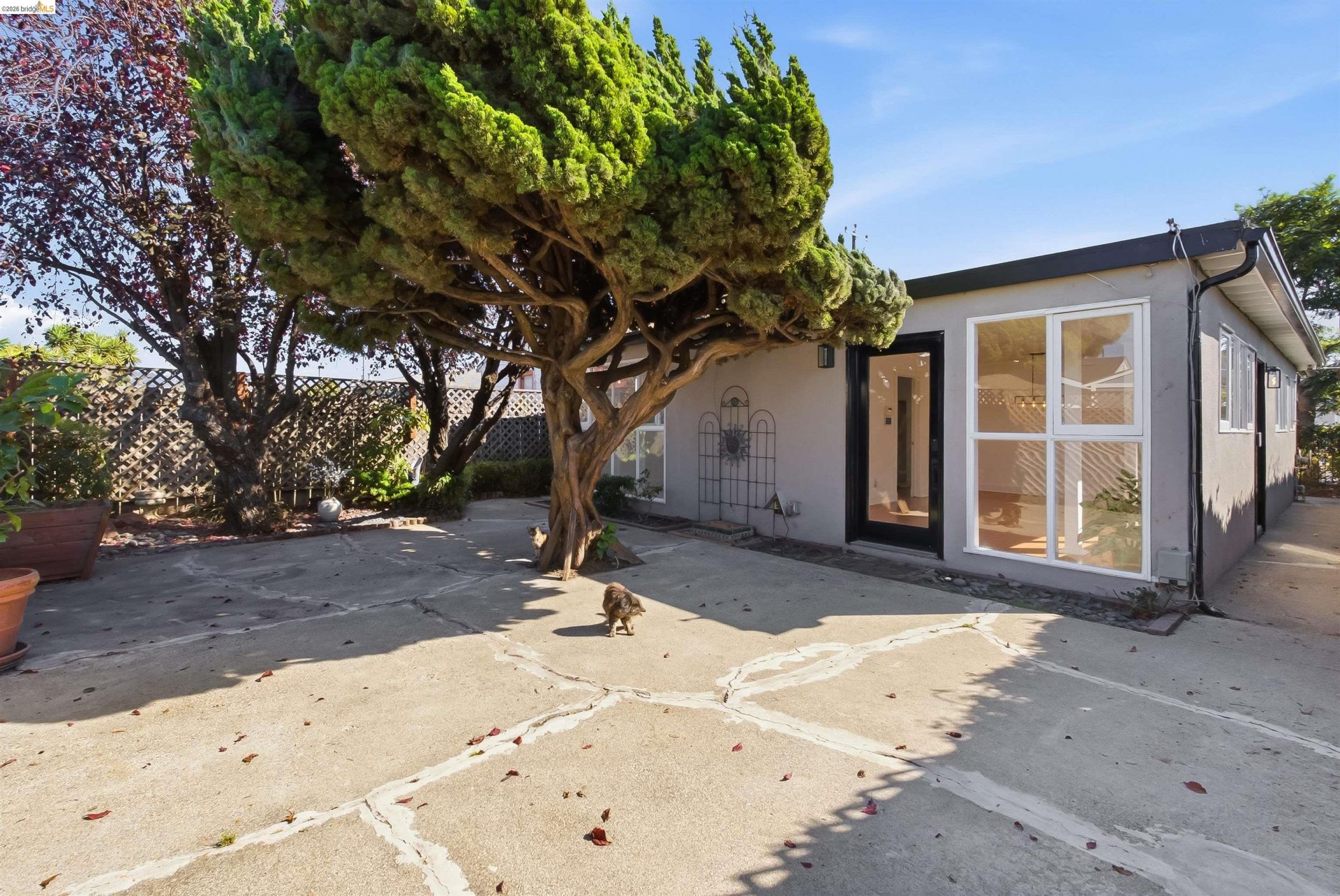 Property photo 47