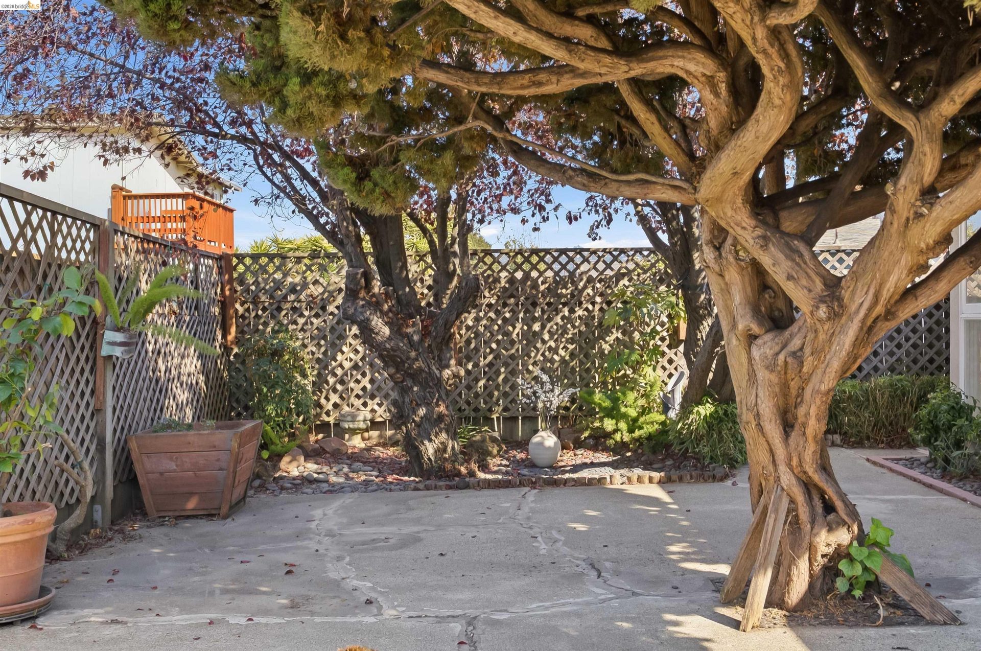 Property photo 49