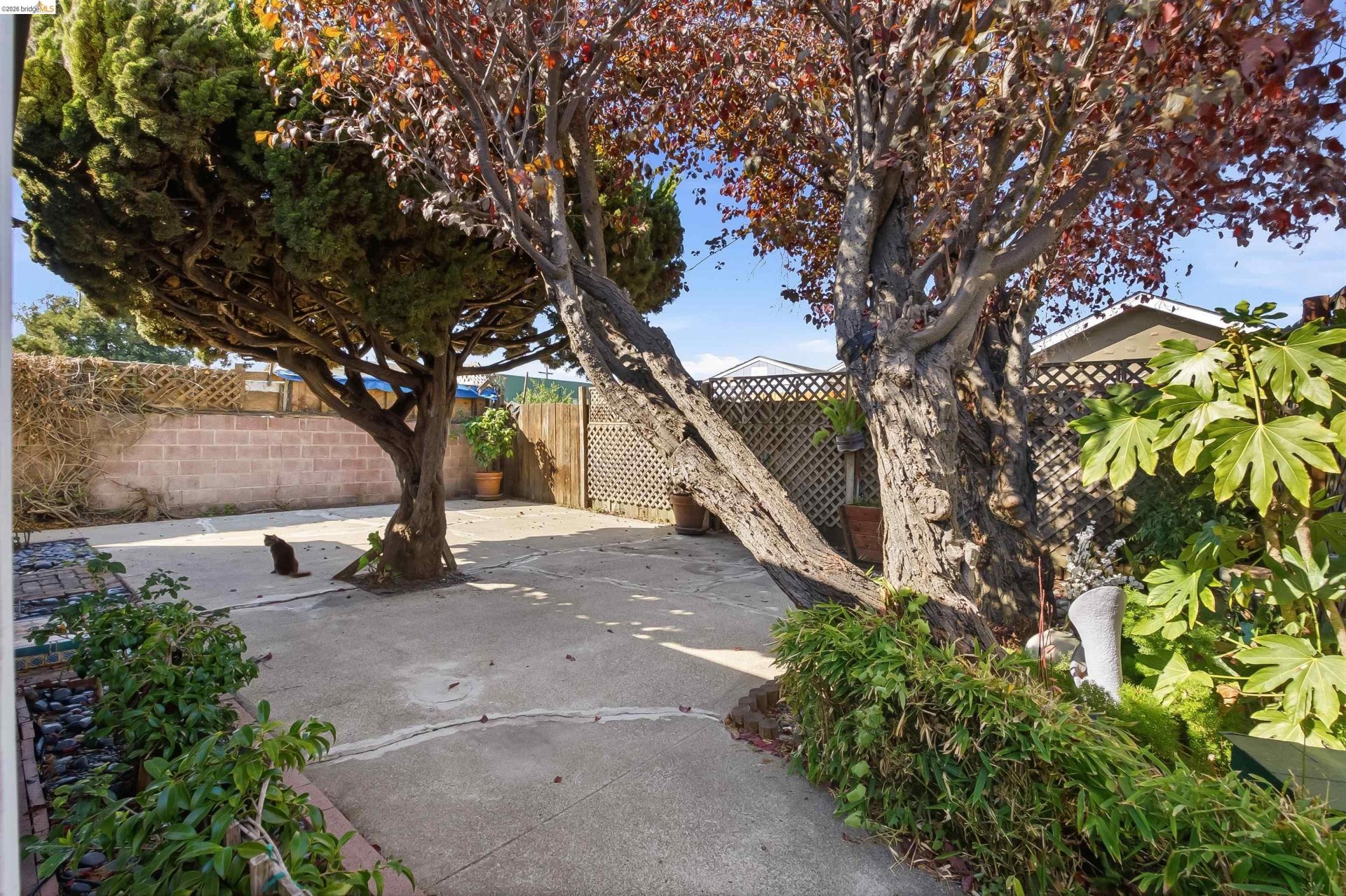 Property photo 51