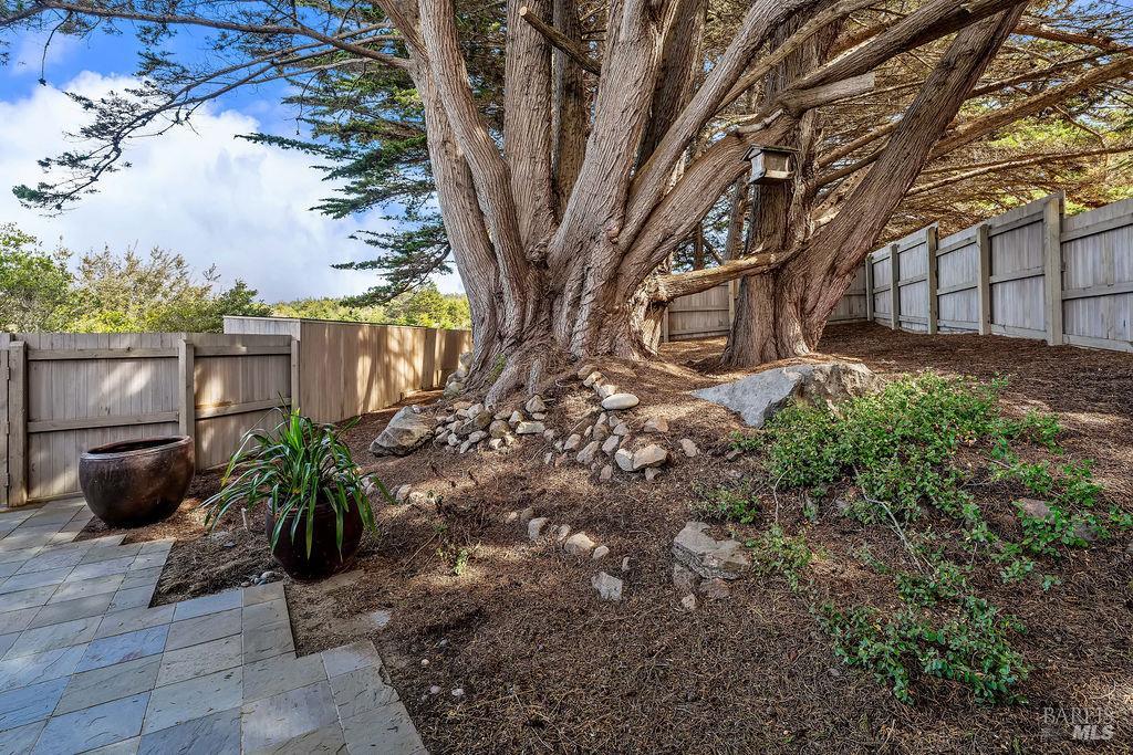 Property photo 51