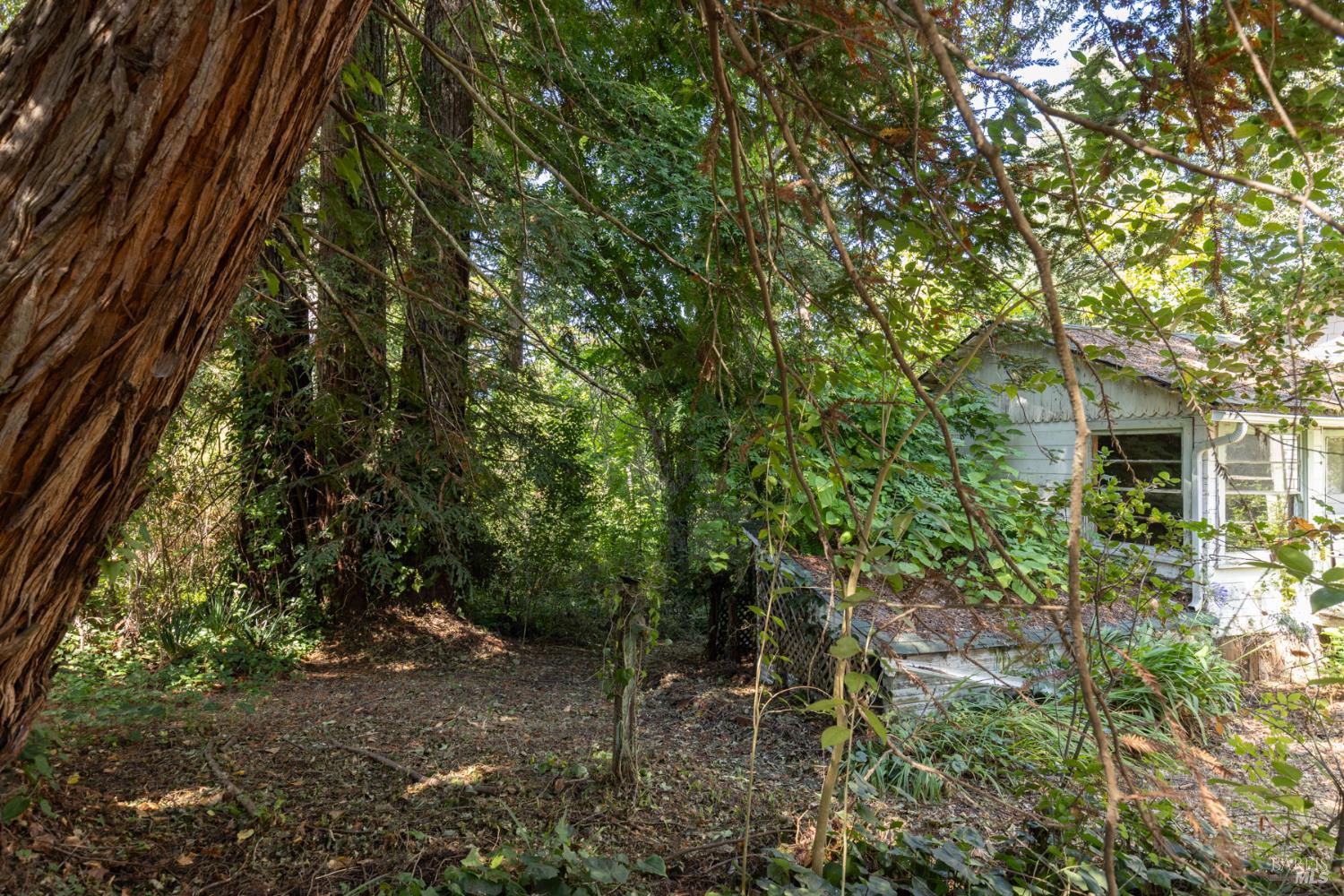Property photo 16