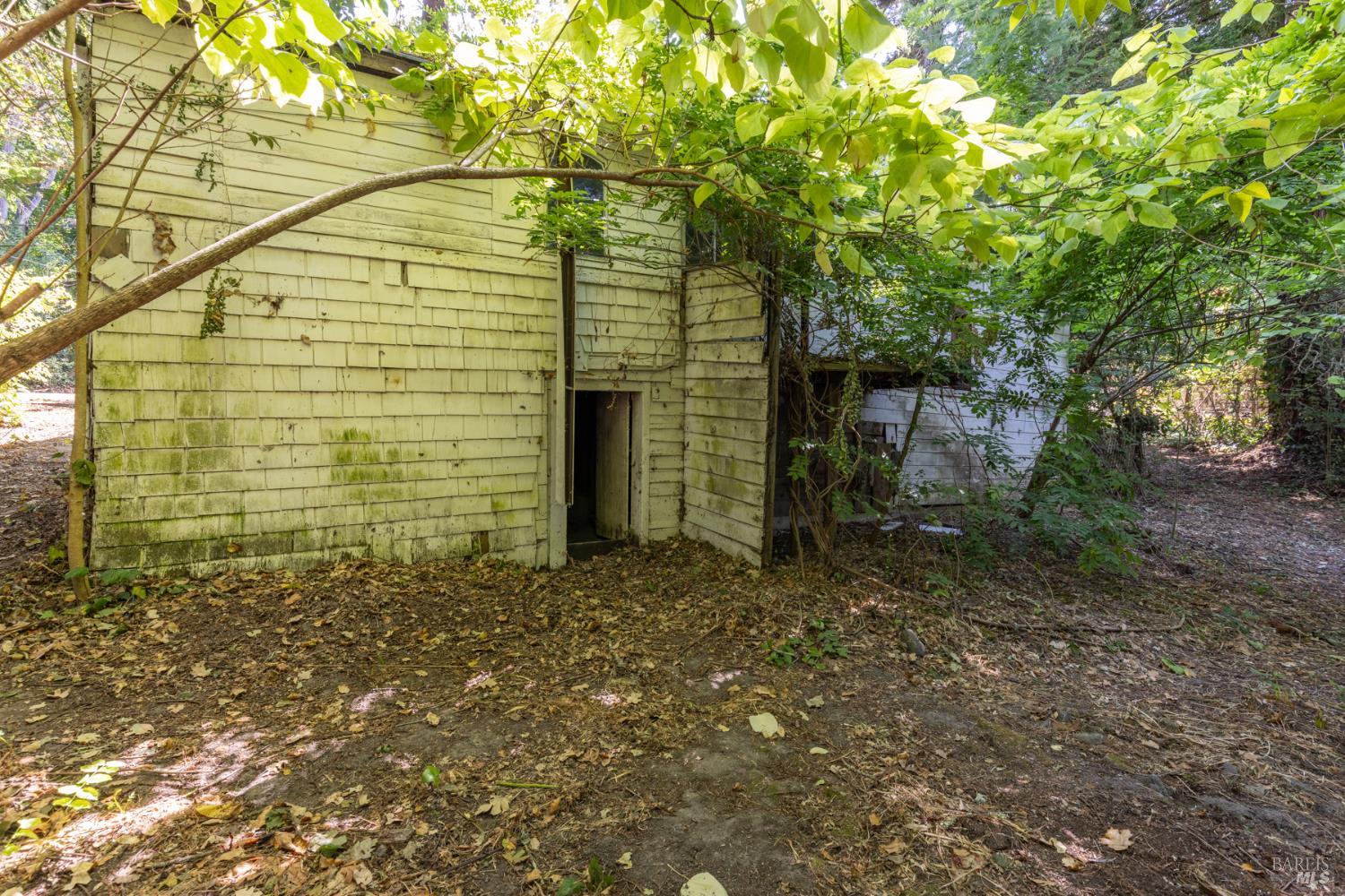 Property photo 19