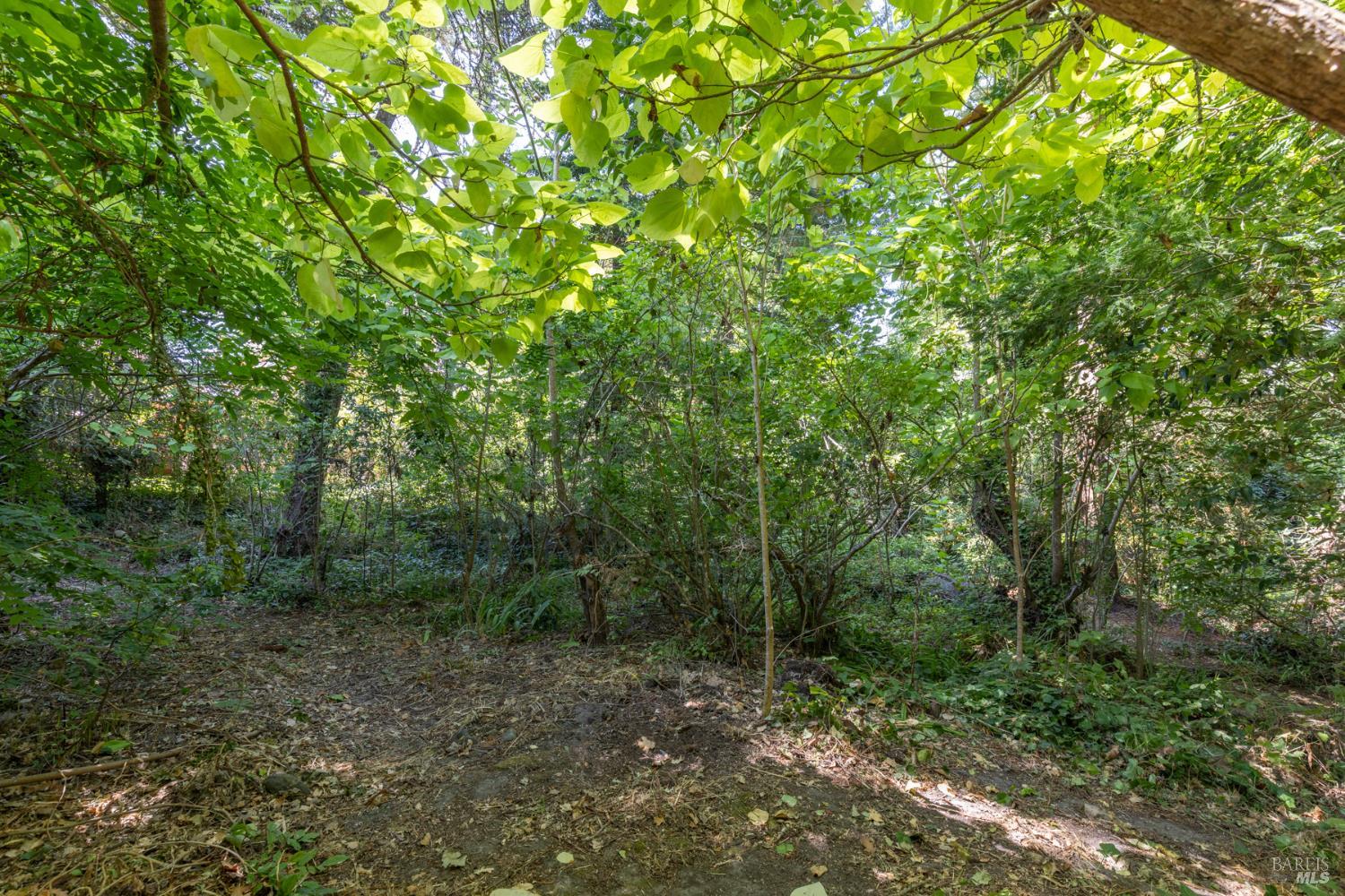 Property photo 20