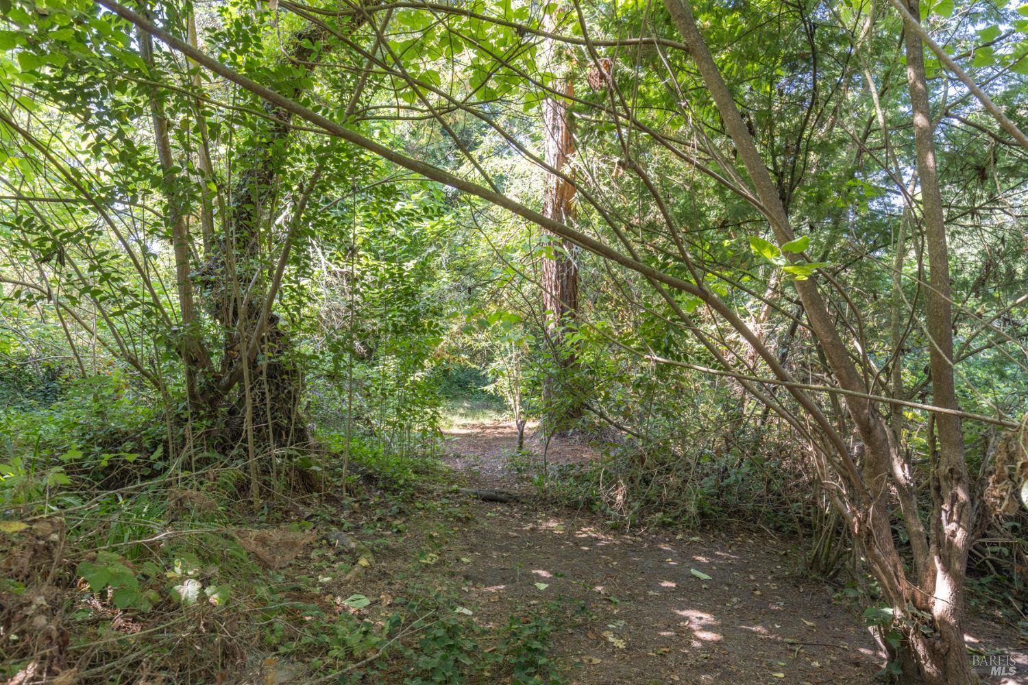 Property photo 21