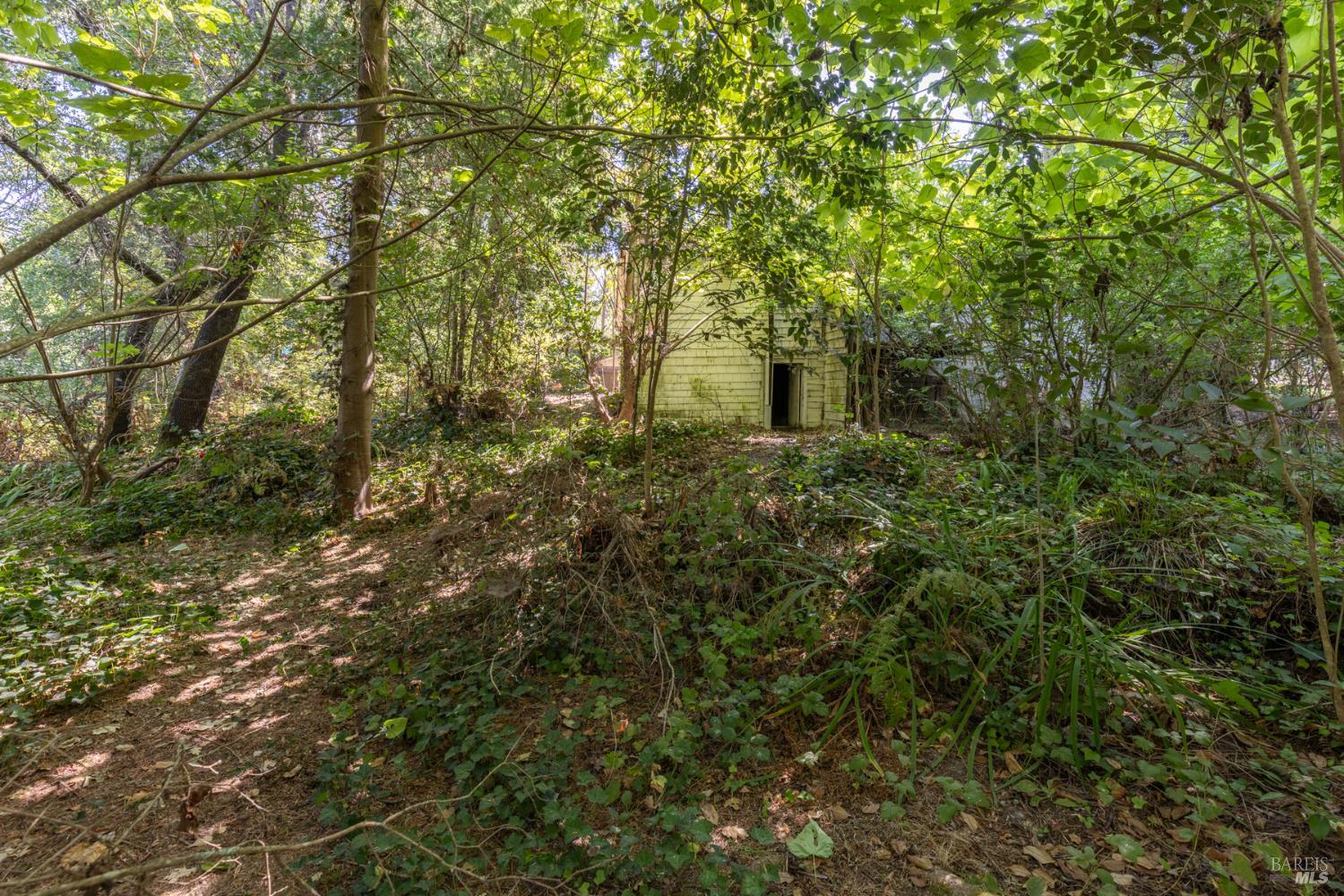 Property photo 22