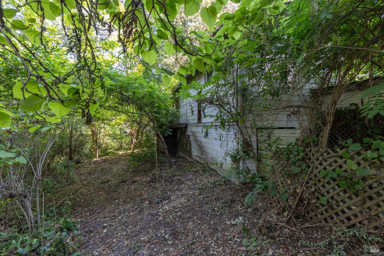 Property photo 23