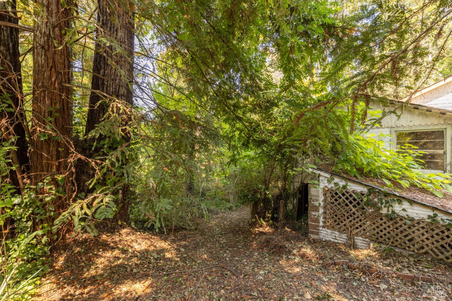 Property photo 24