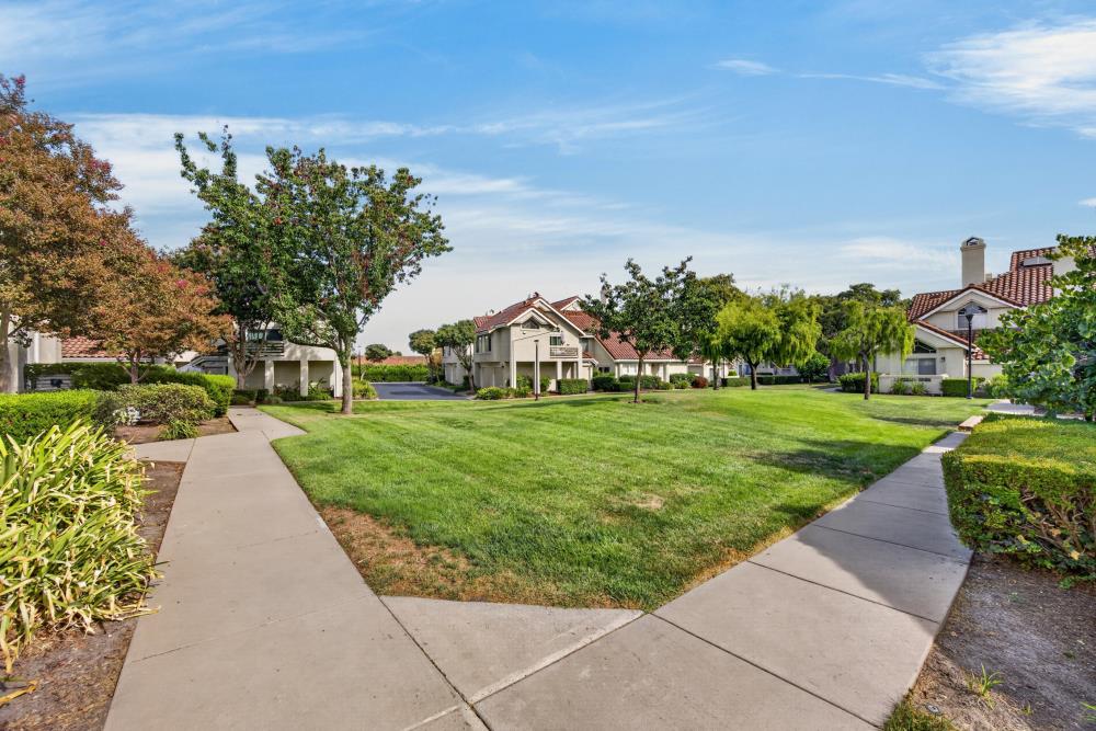 Property photo 49