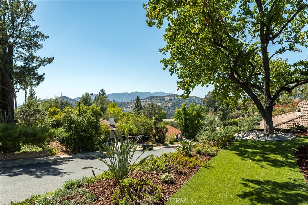 Property photo 51