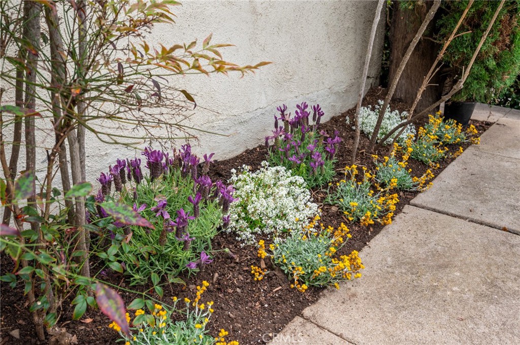 Property photo 47