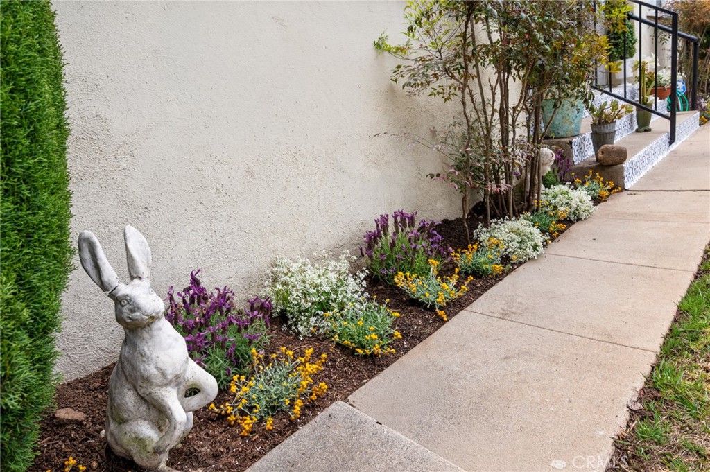 Property photo 49