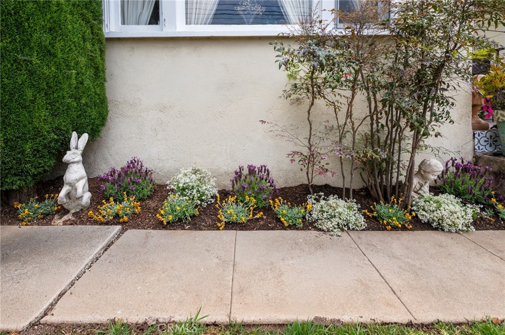 Property photo 51