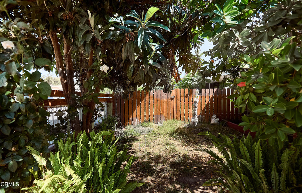 Property photo 46