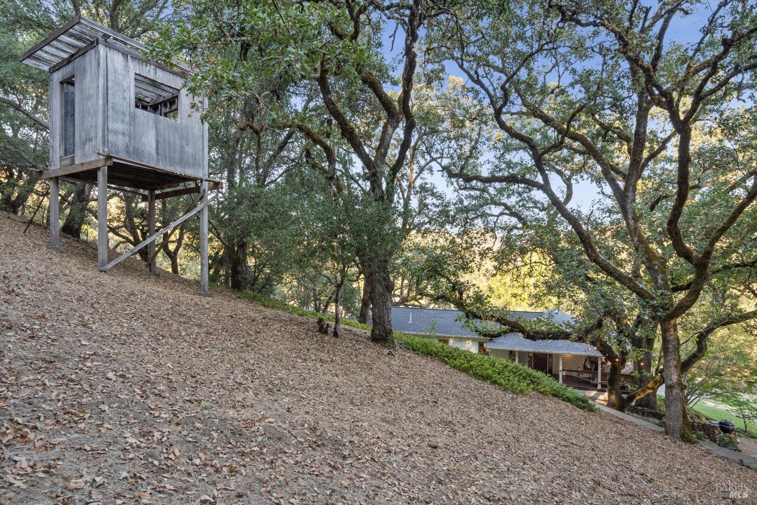 Property photo 42
