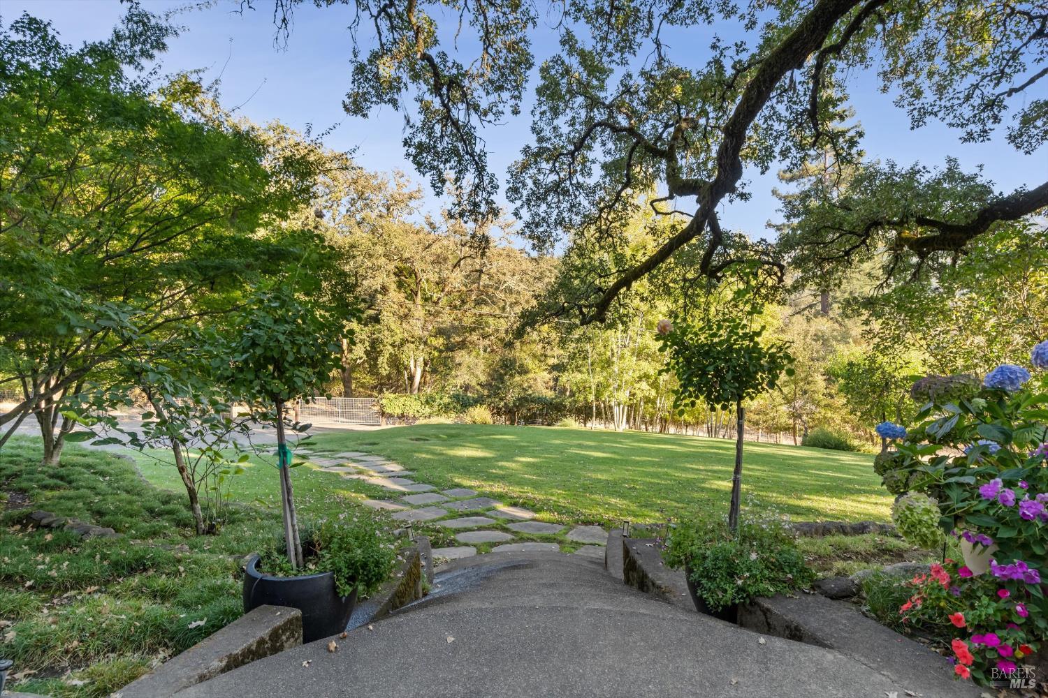Property photo 49