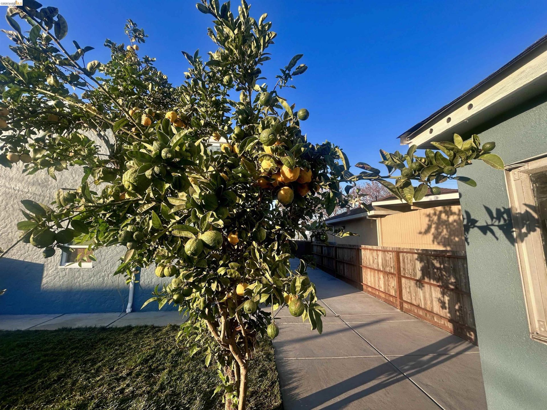 Property photo 22