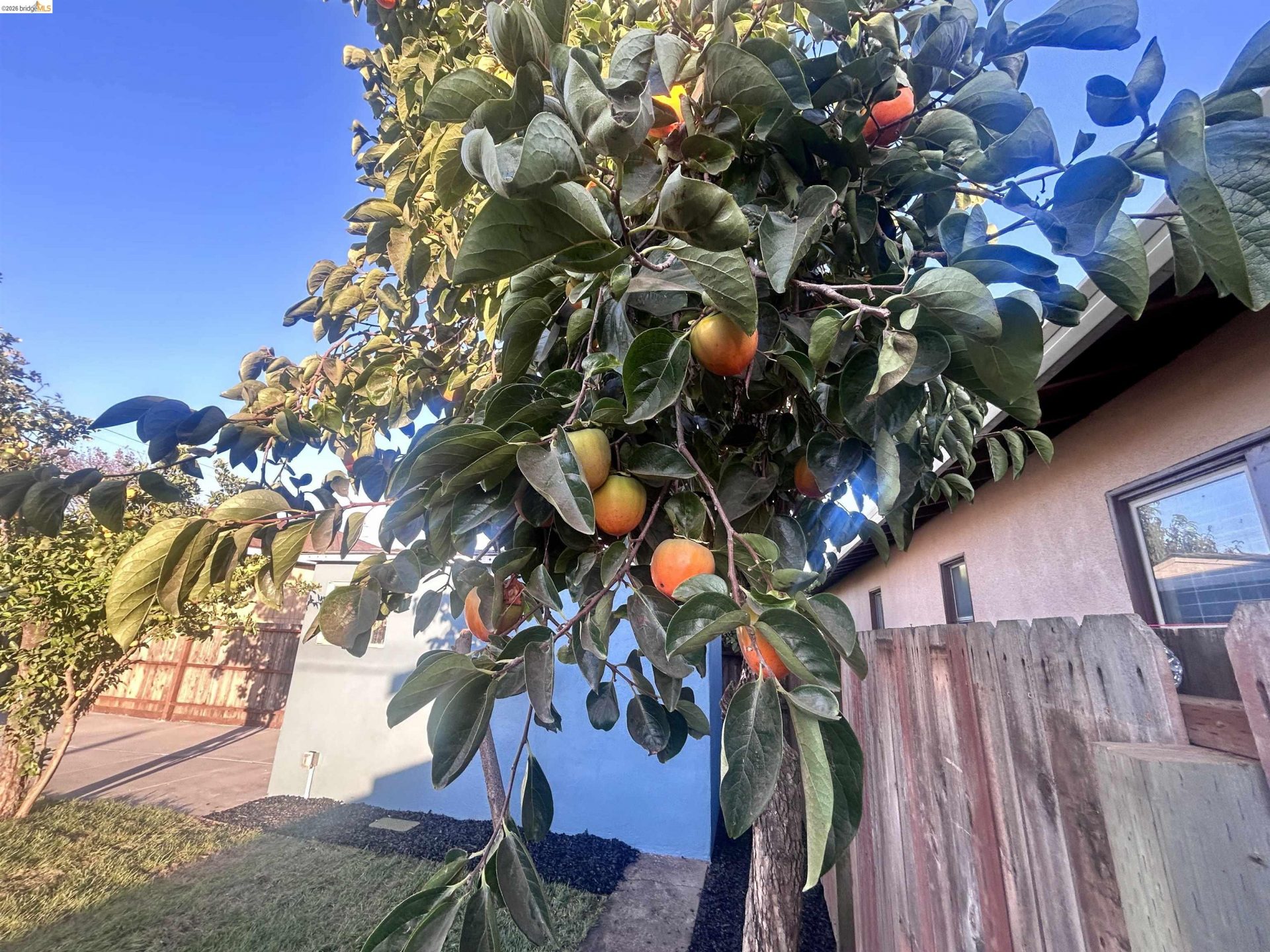 Property photo 23