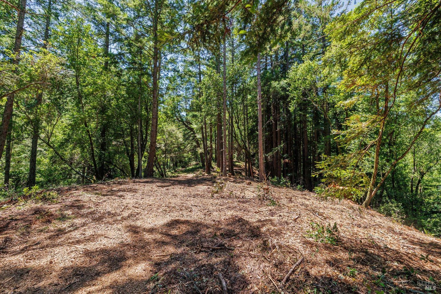Property photo 17