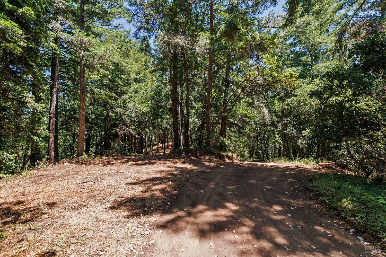 Property photo 24