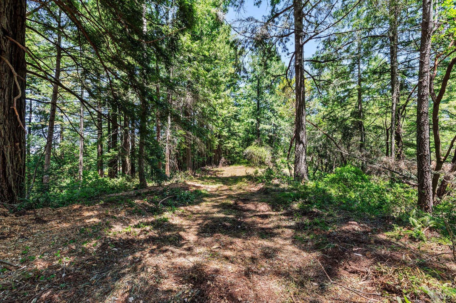 Property photo 28