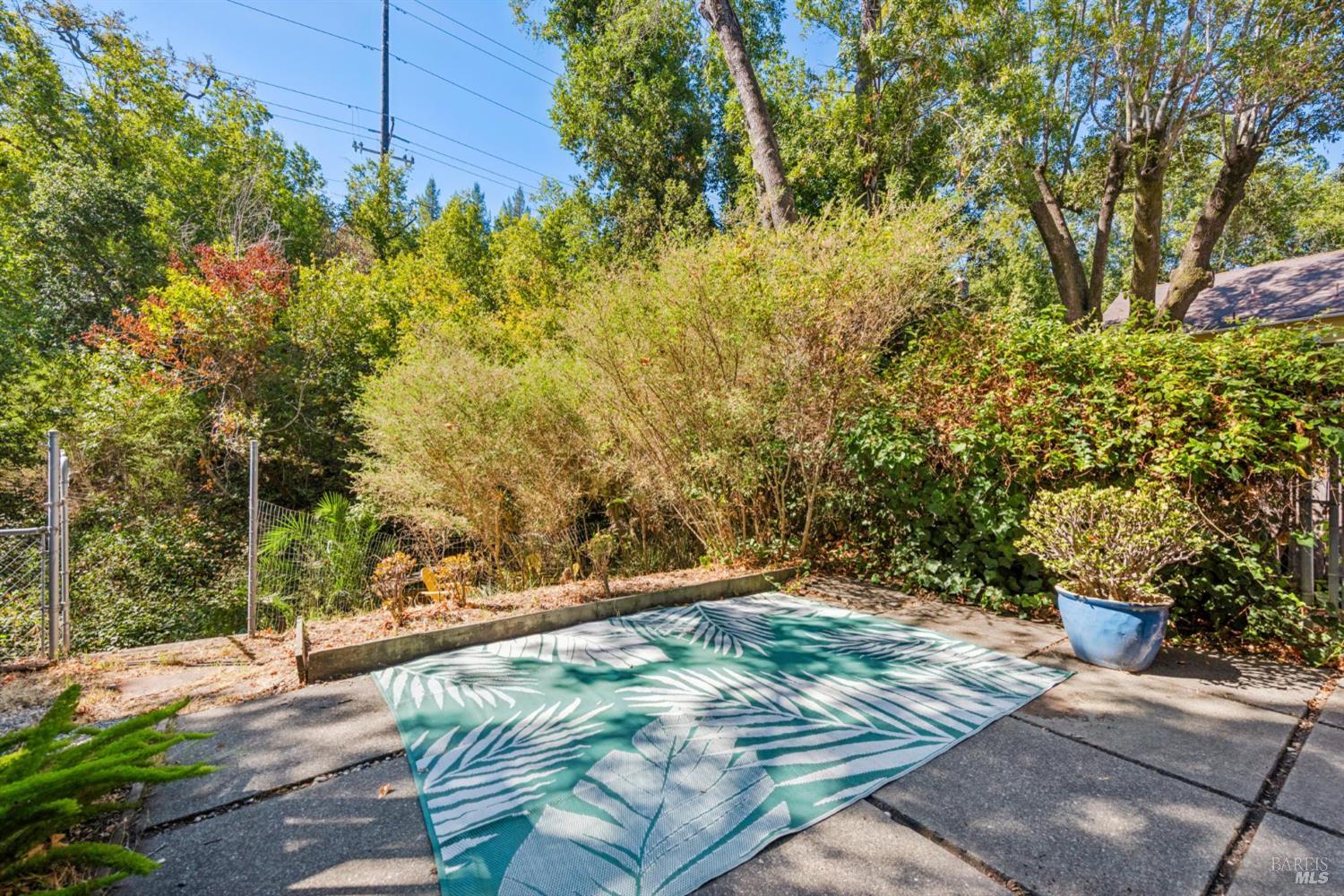 Property photo 44