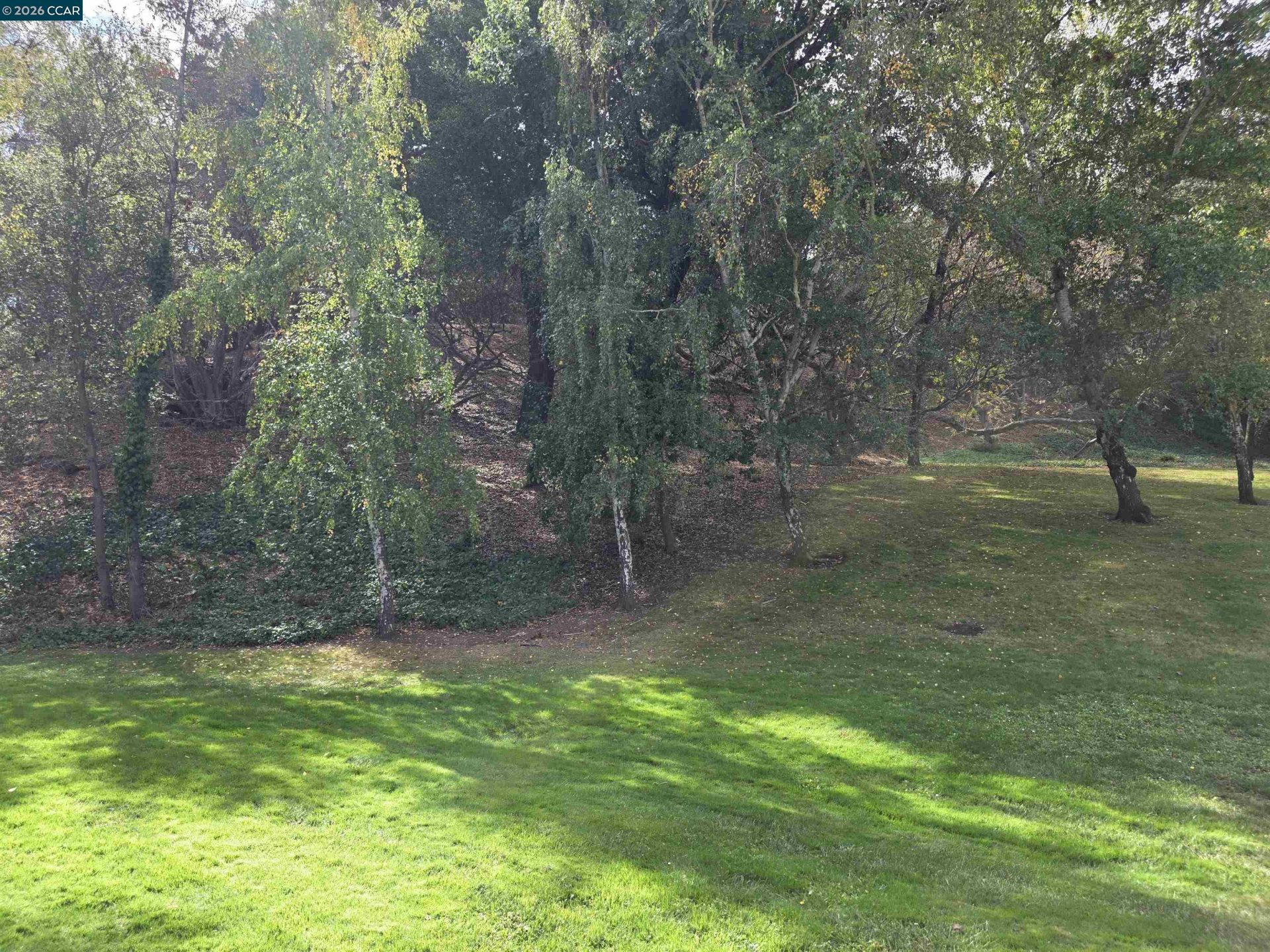 Property photo 28