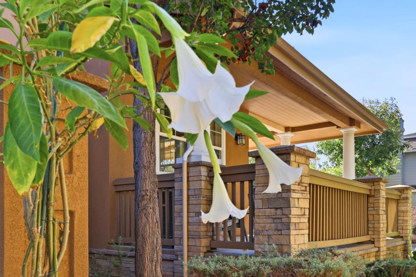 Property photo 50