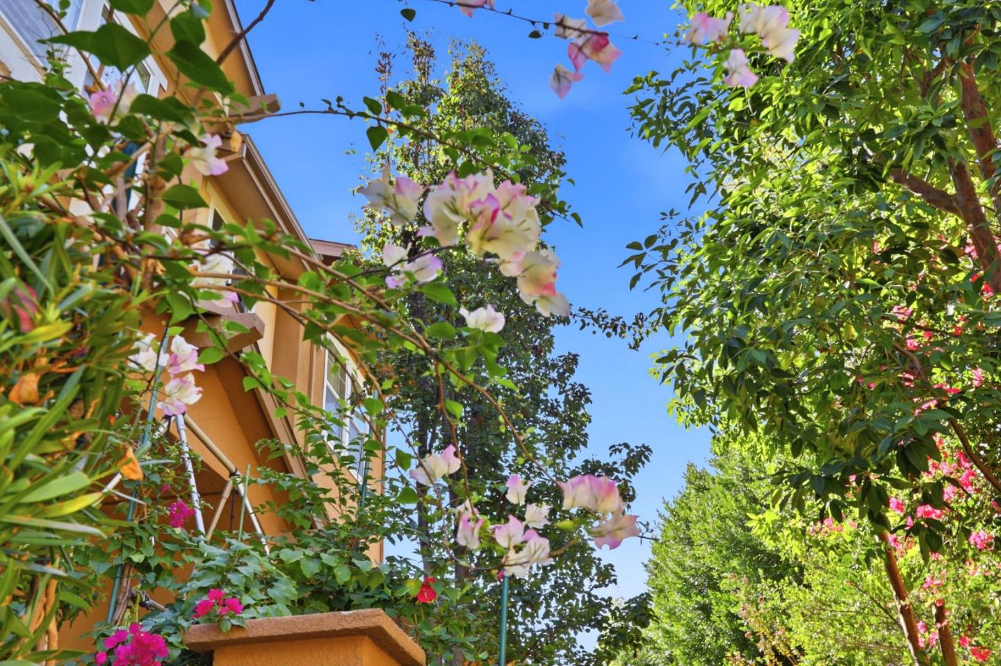 Property photo 51