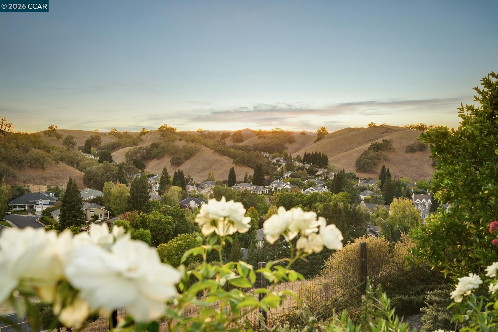 Property photo 48