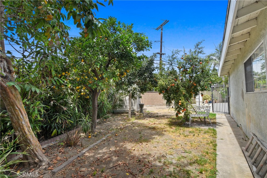 Property photo 31