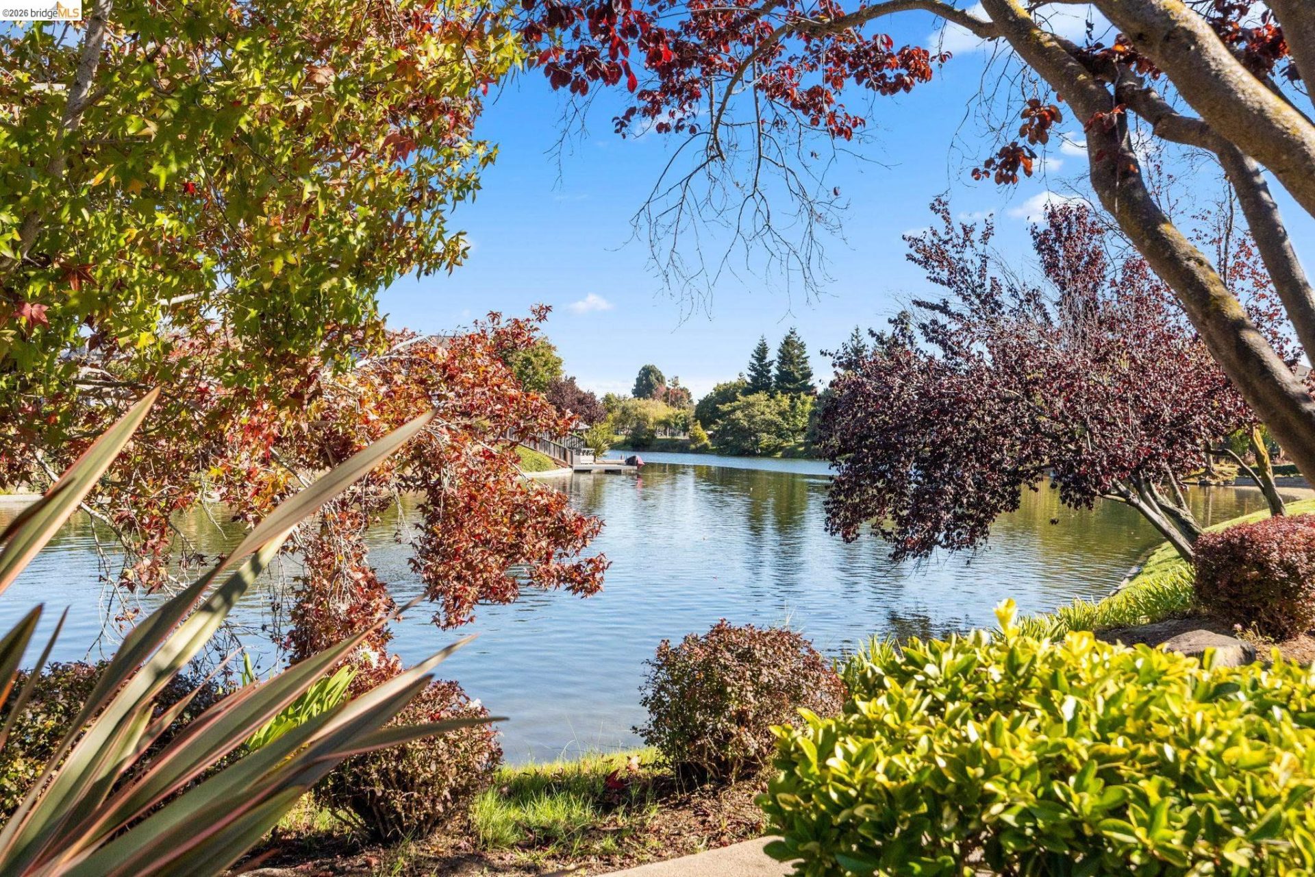 Property photo 29