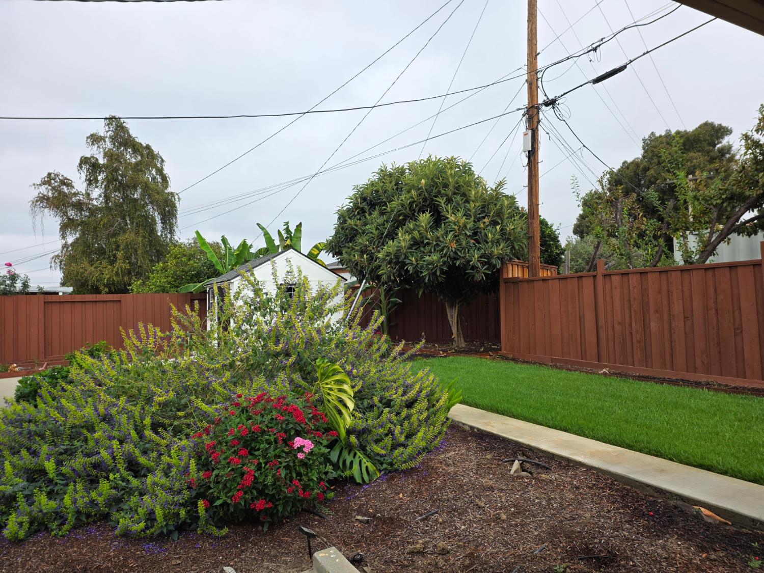 Property photo 47