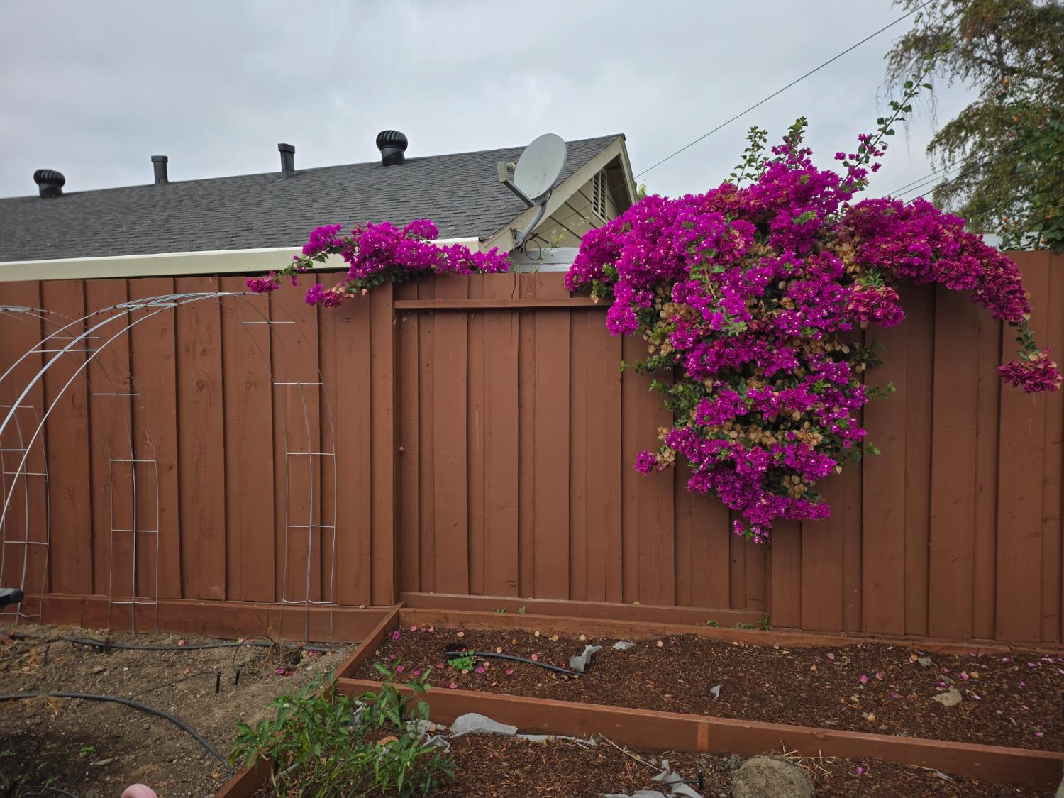 Property photo 48