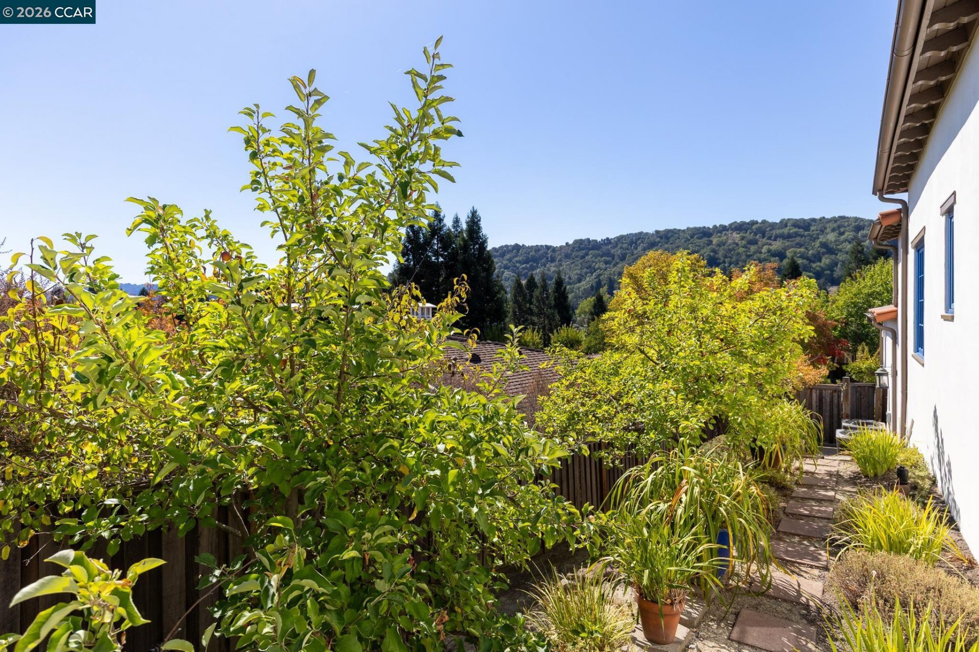 Property photo 43