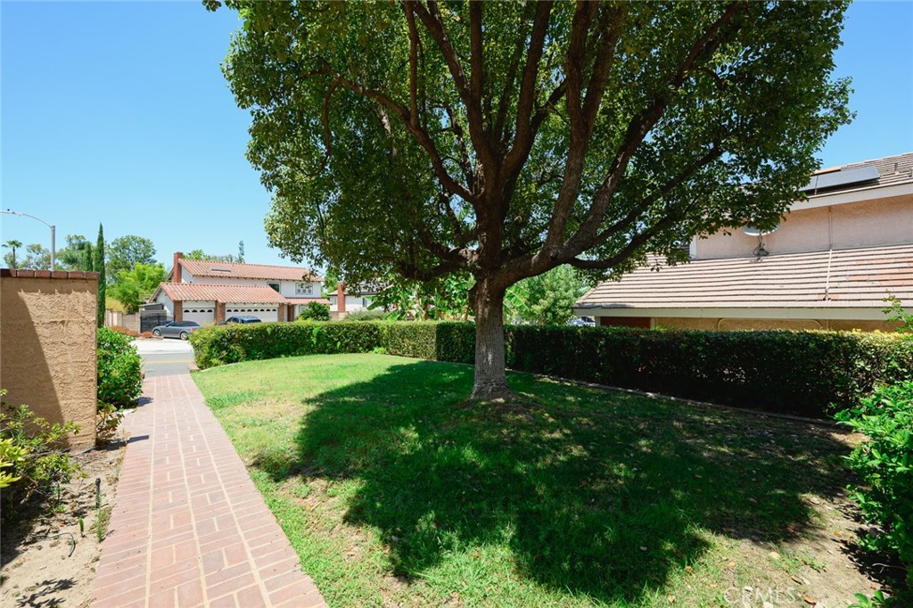 Property photo 51