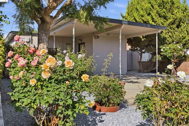 Property photo 43