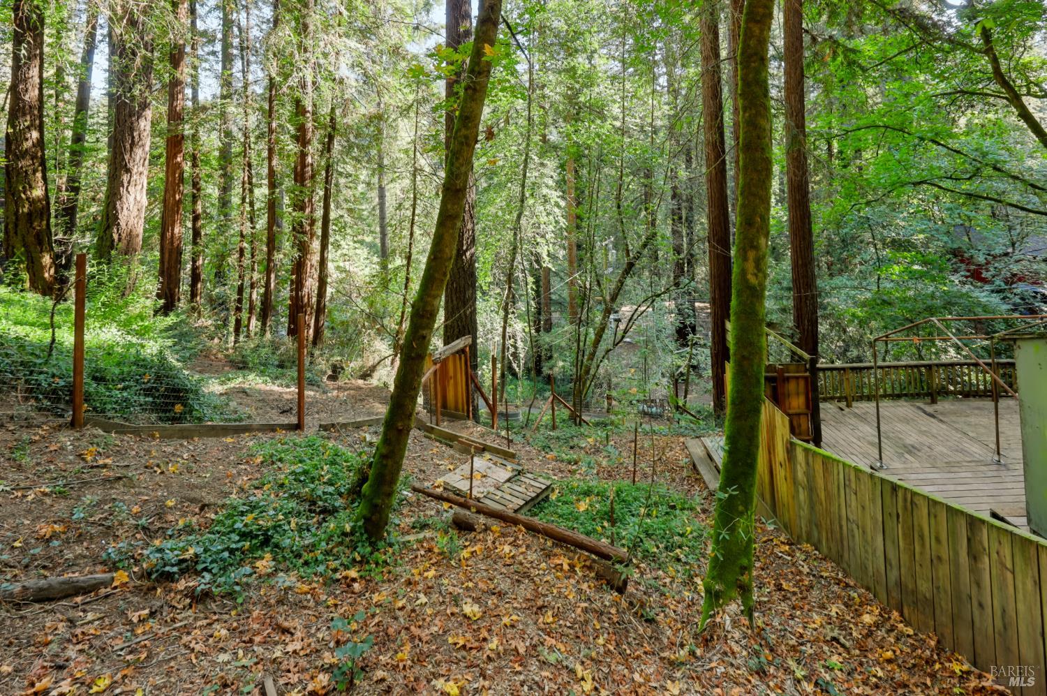 Property photo 40