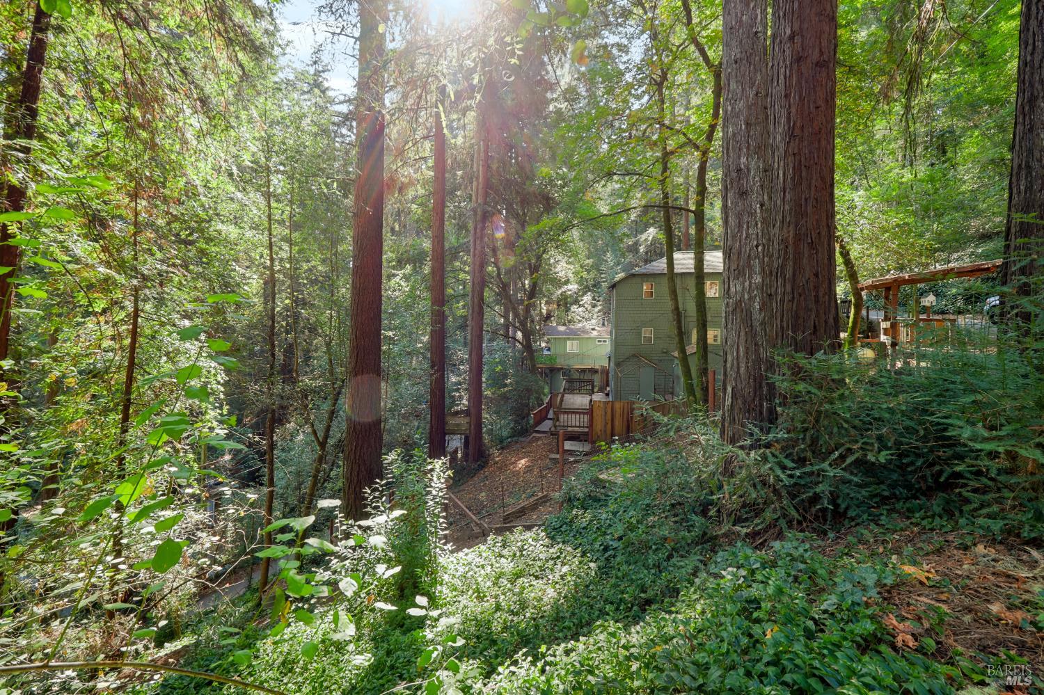 Property photo 41