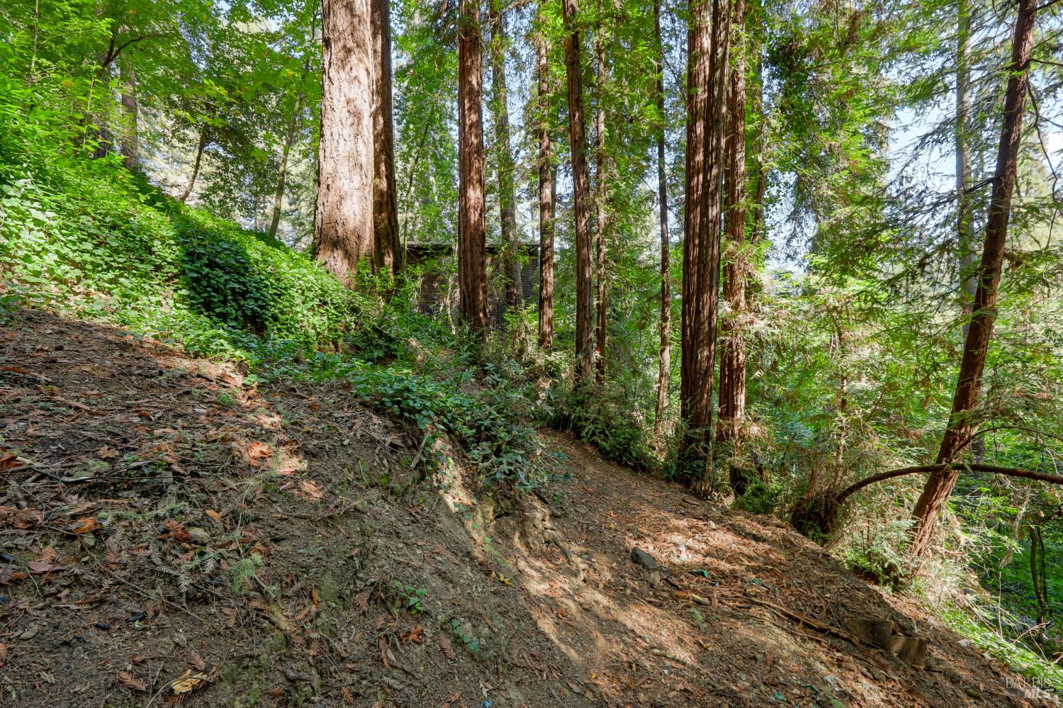 Property photo 42