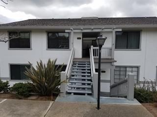 Property photo 51