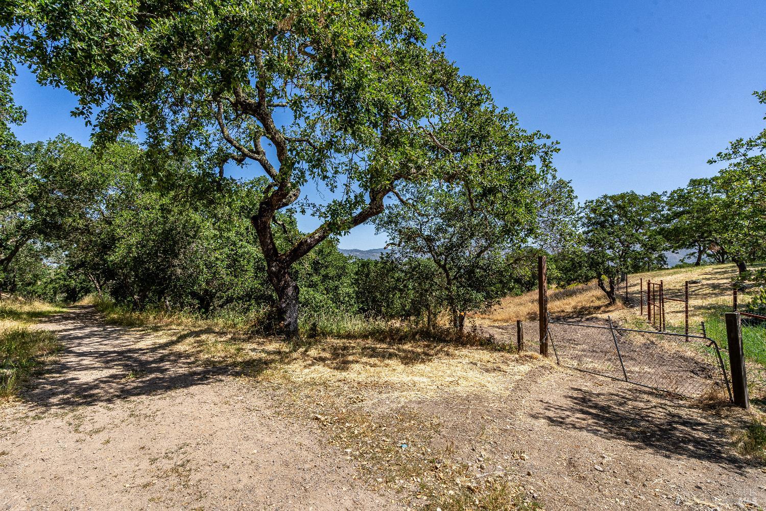 Property photo 25