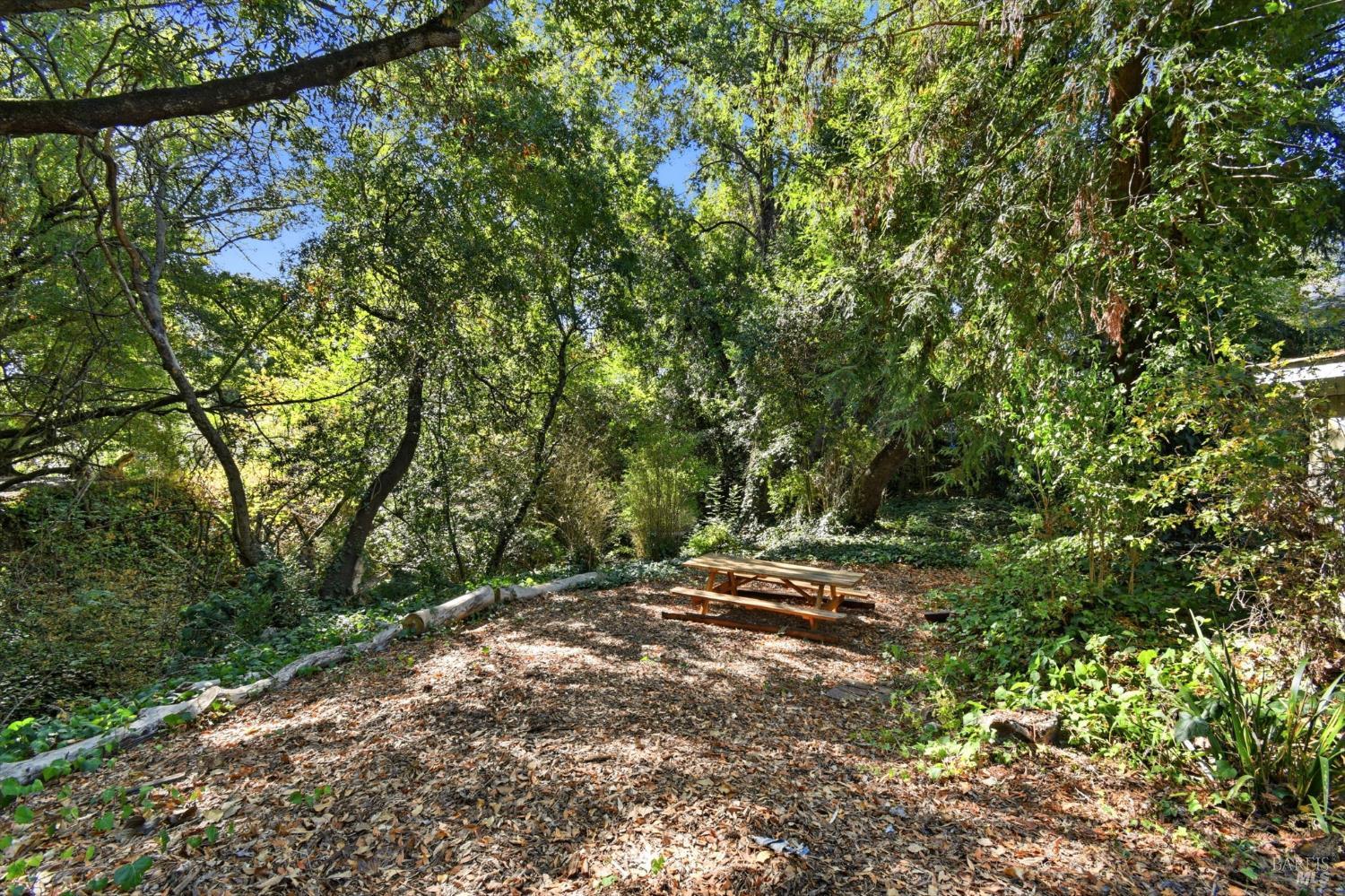 Property photo 43
