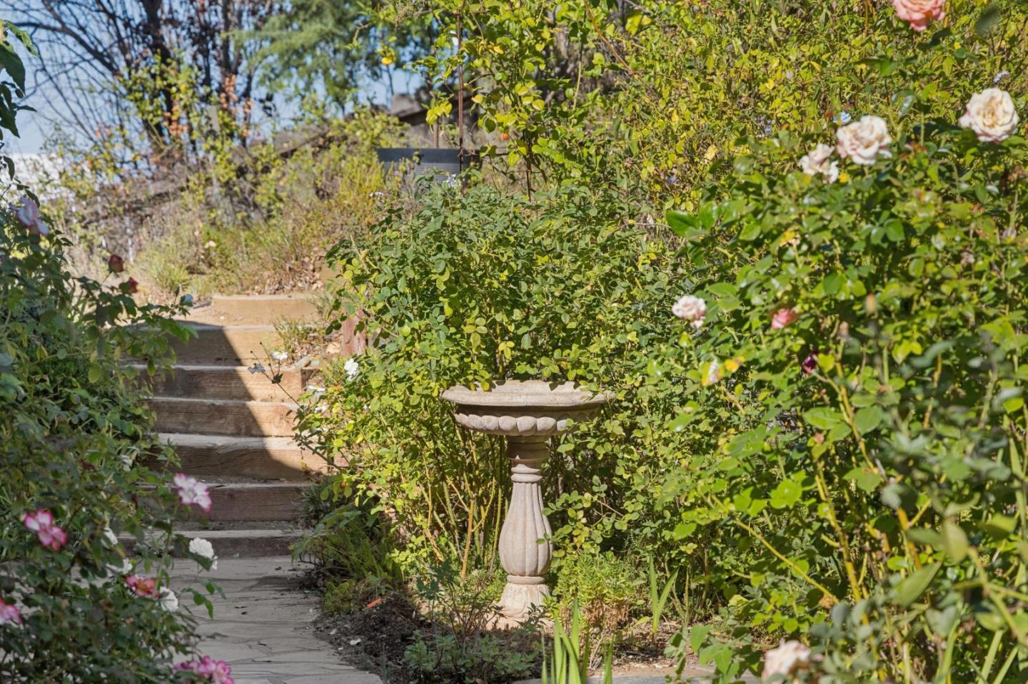 Property photo 41