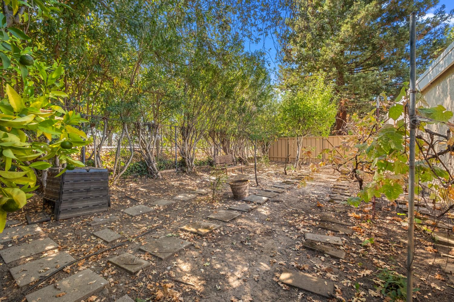 Property photo 43
