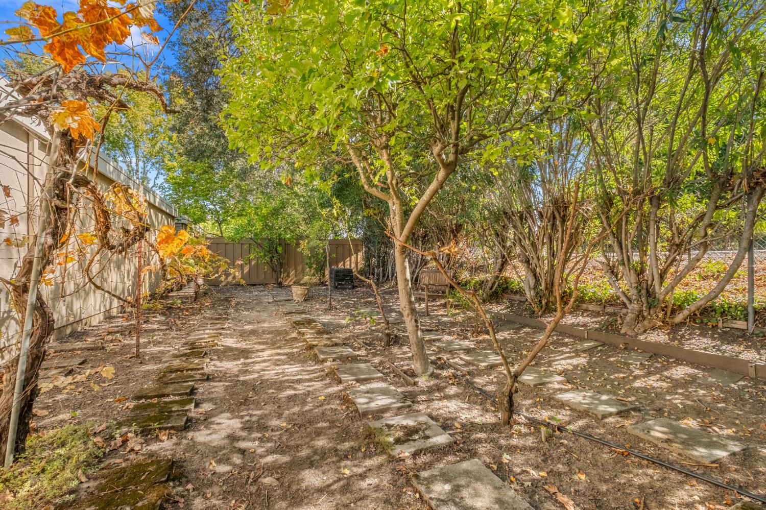 Property photo 45