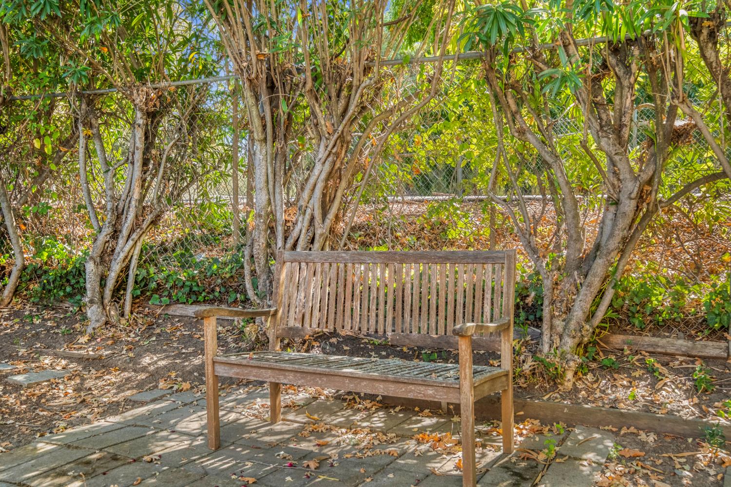 Property photo 46