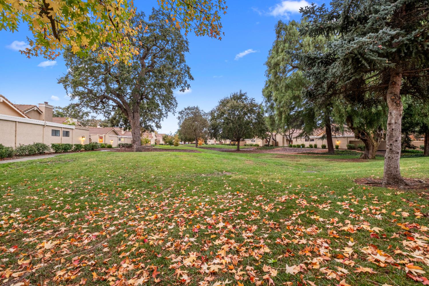 Property photo 50