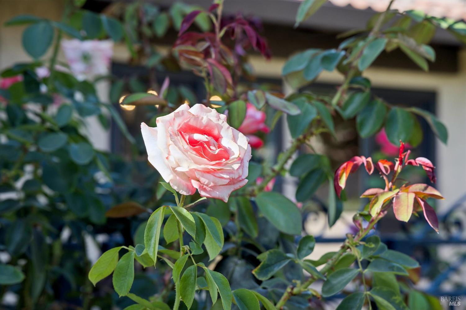 Property photo 36