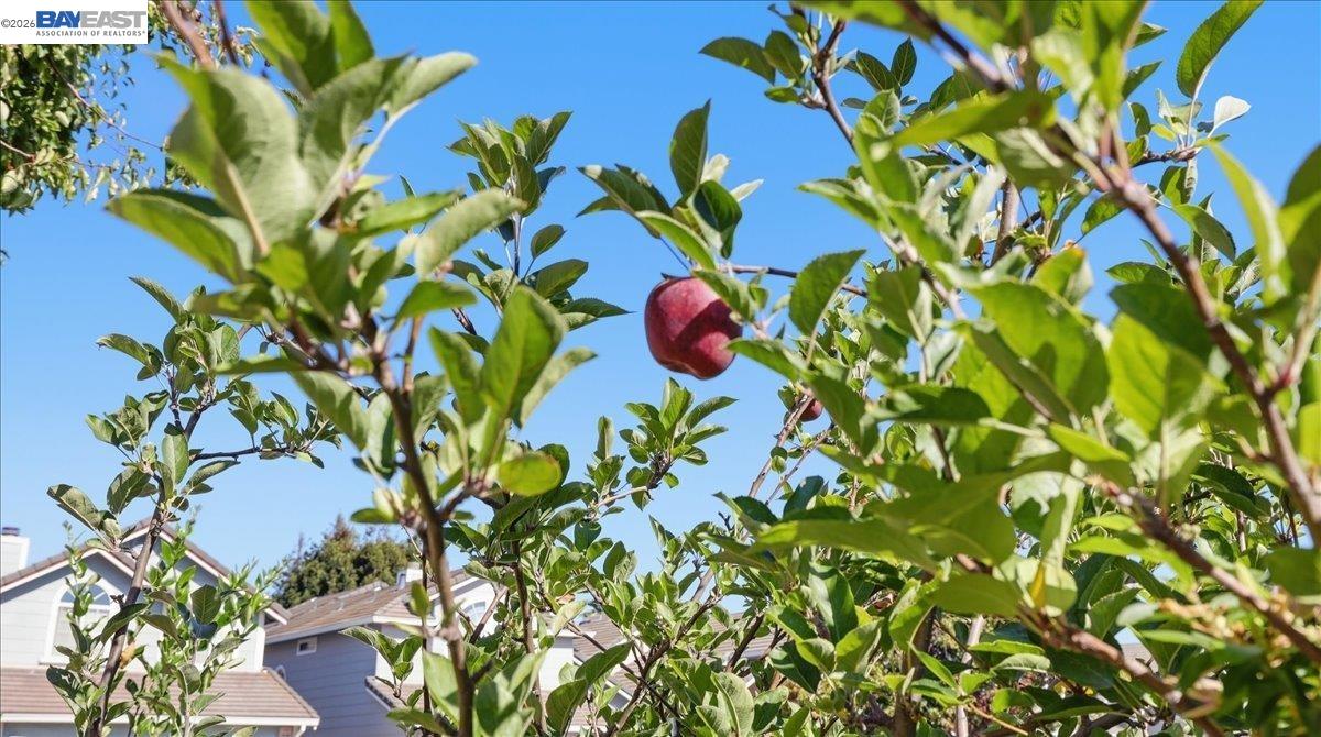 Property photo 49